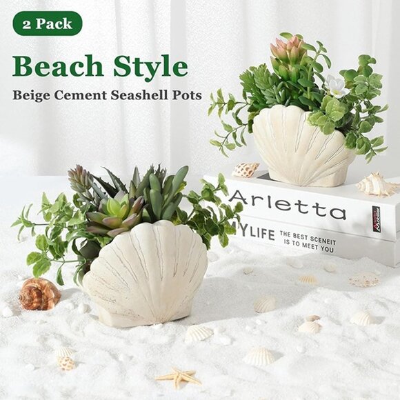 NEW Set of 2, Assorted Faux Succulents Artificial Plants with Sea Shell Pots - Picture 4 of 8